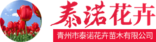 青州市泰诺花卉苗木有限公司logo